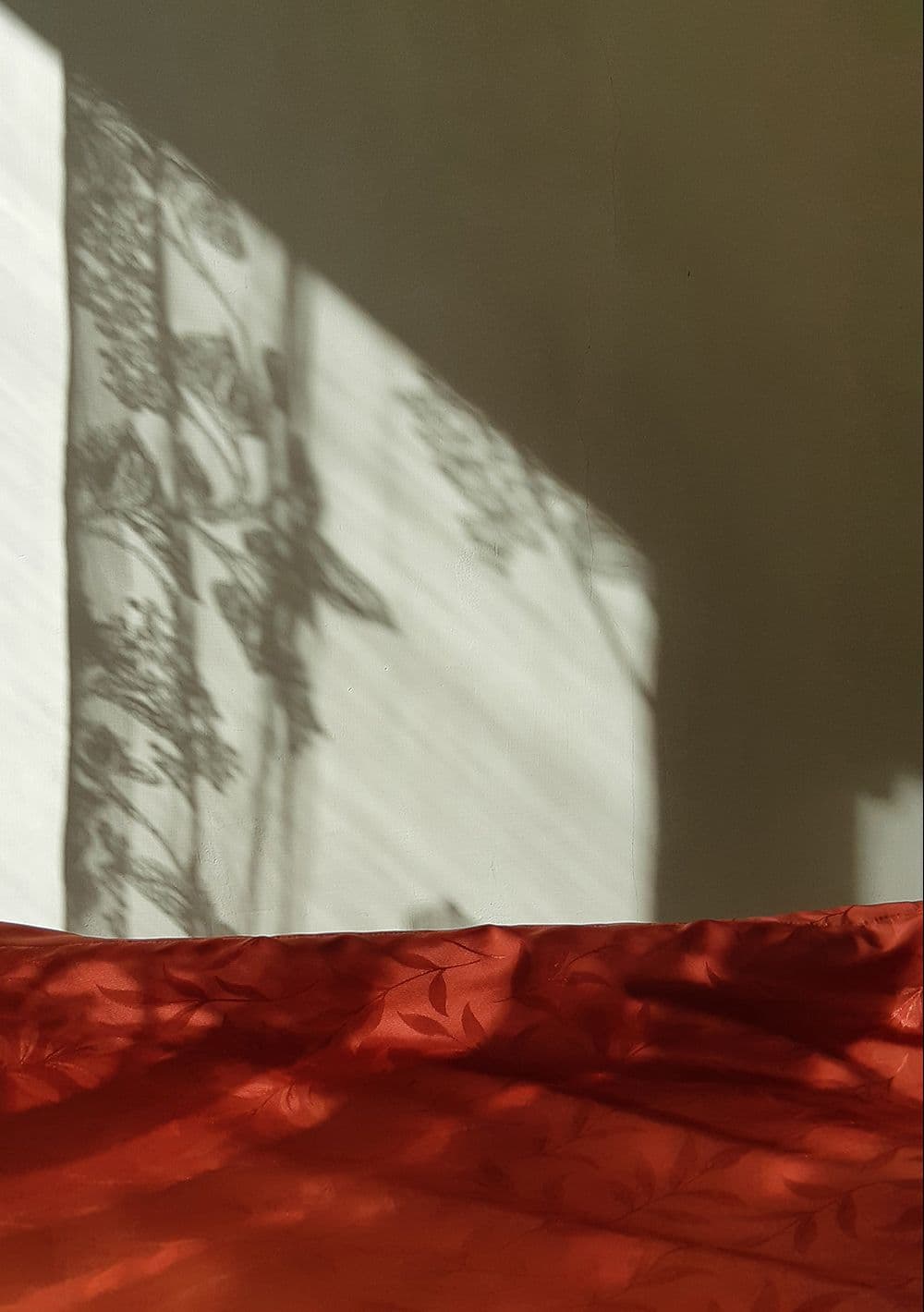 عکس از نسترن رجالى