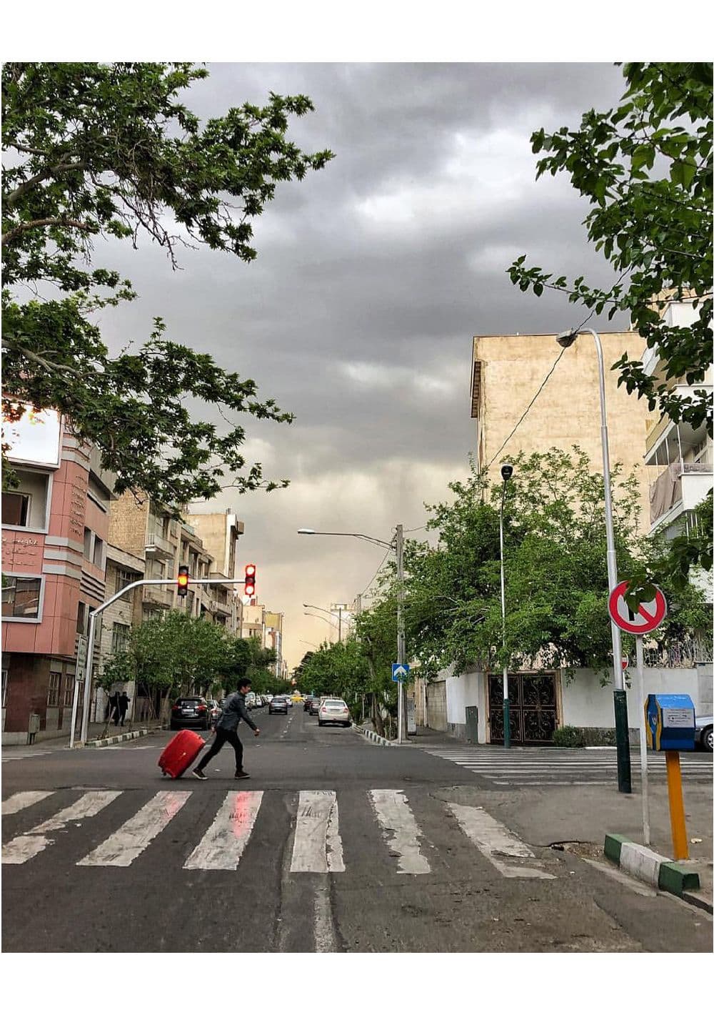 پرندگان می‌روند تا این بار در تهران بمیرند