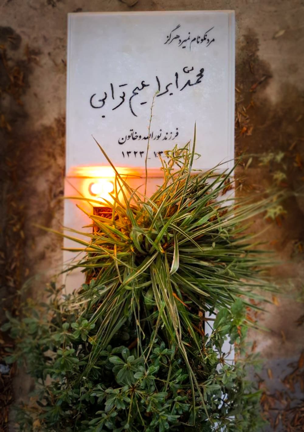 مرد نکونام نمیرد هرگز