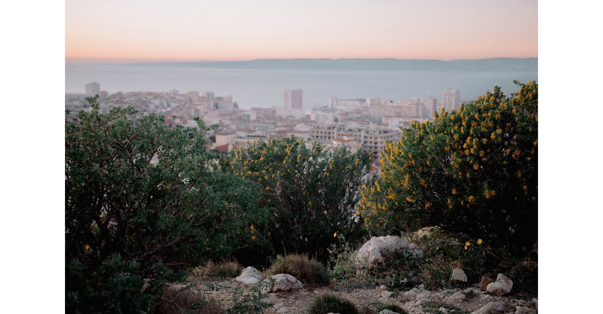 عکس از تینا معصومى