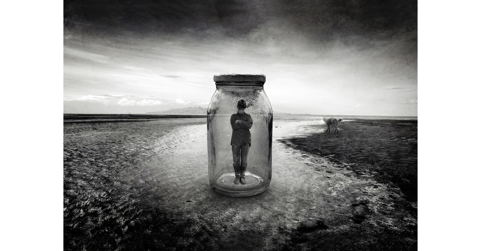 آقای الف مشهور می‌شود