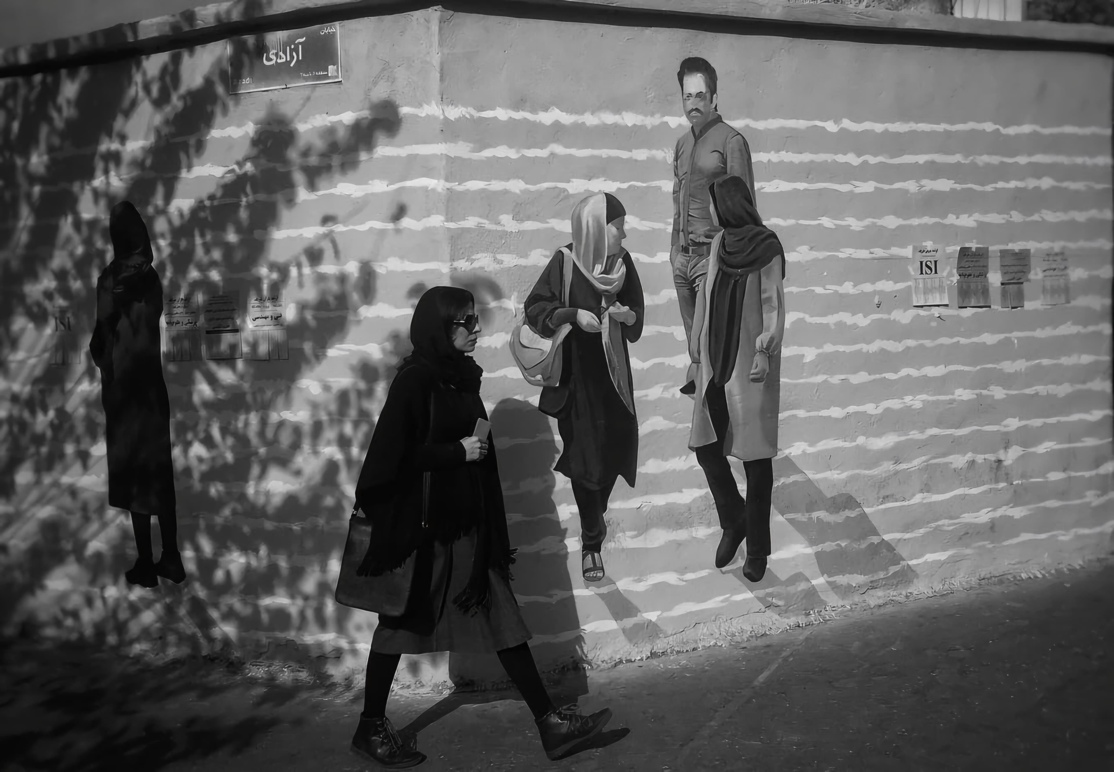 عکس از پیمان یزدانی