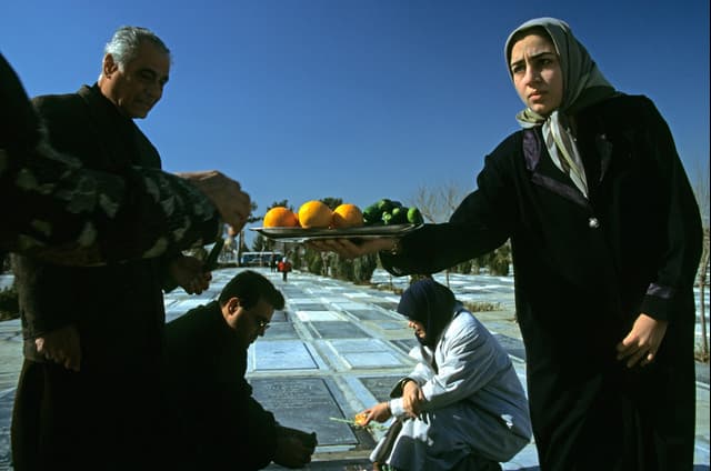 مرده‌خور