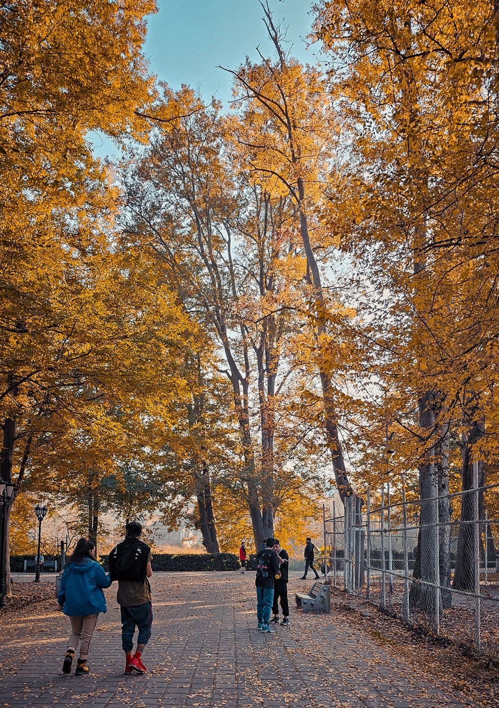 عکس از فاطمه حسینى