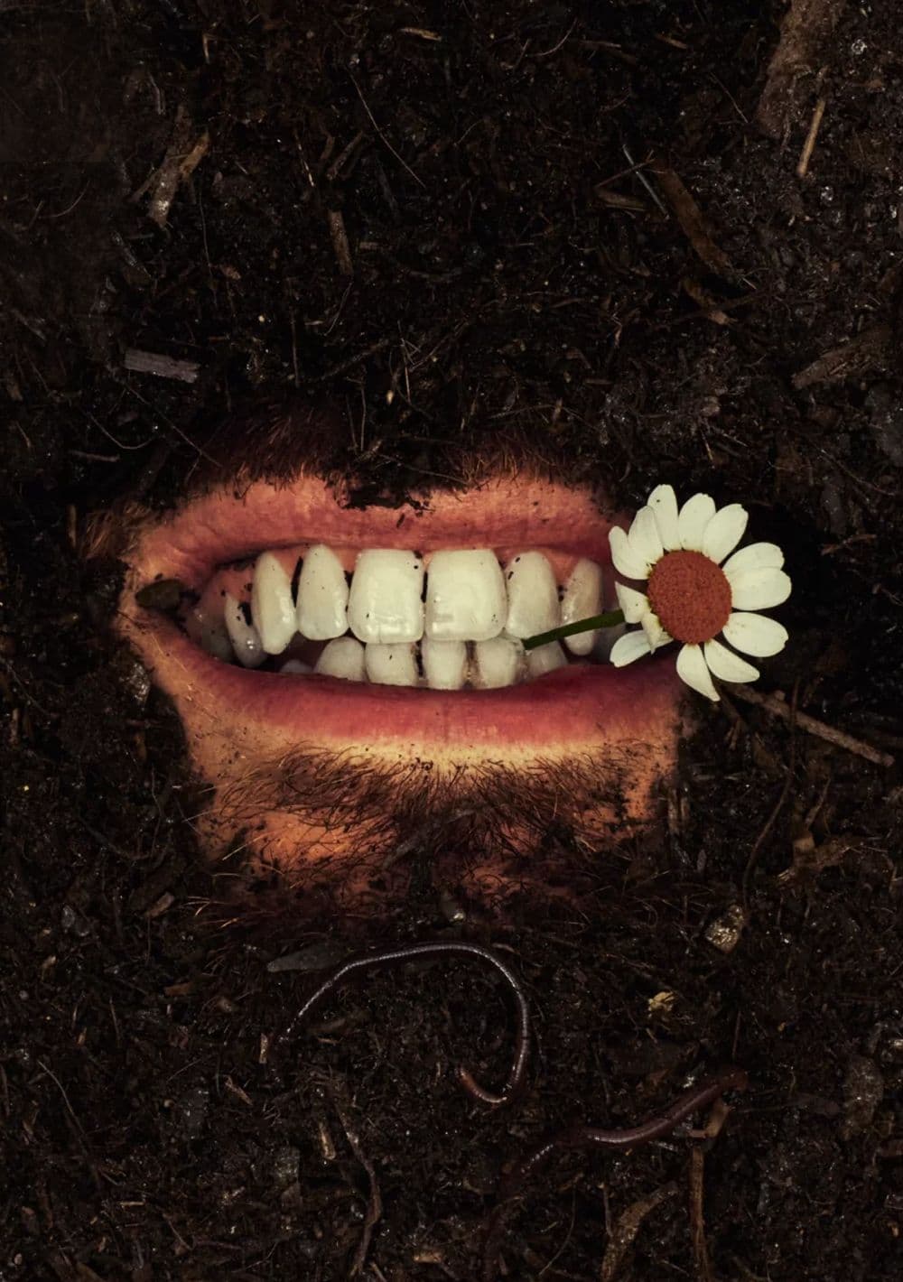 کاور آلبوم «unreal unearth»، هوزییر
