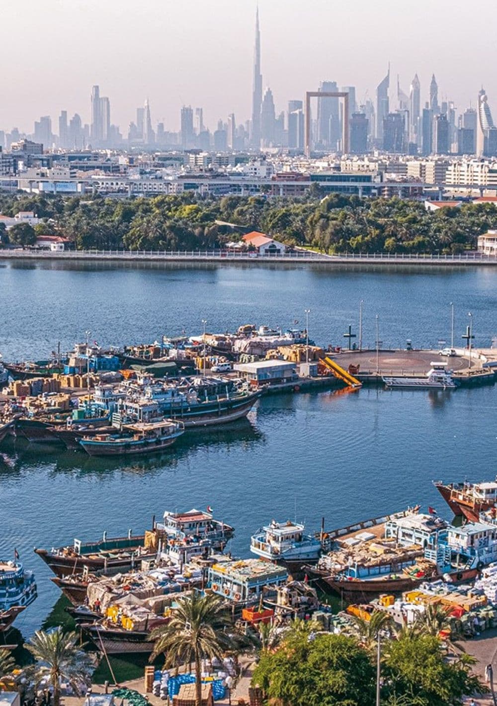 عکس از آرشیو نشنالجغرافى