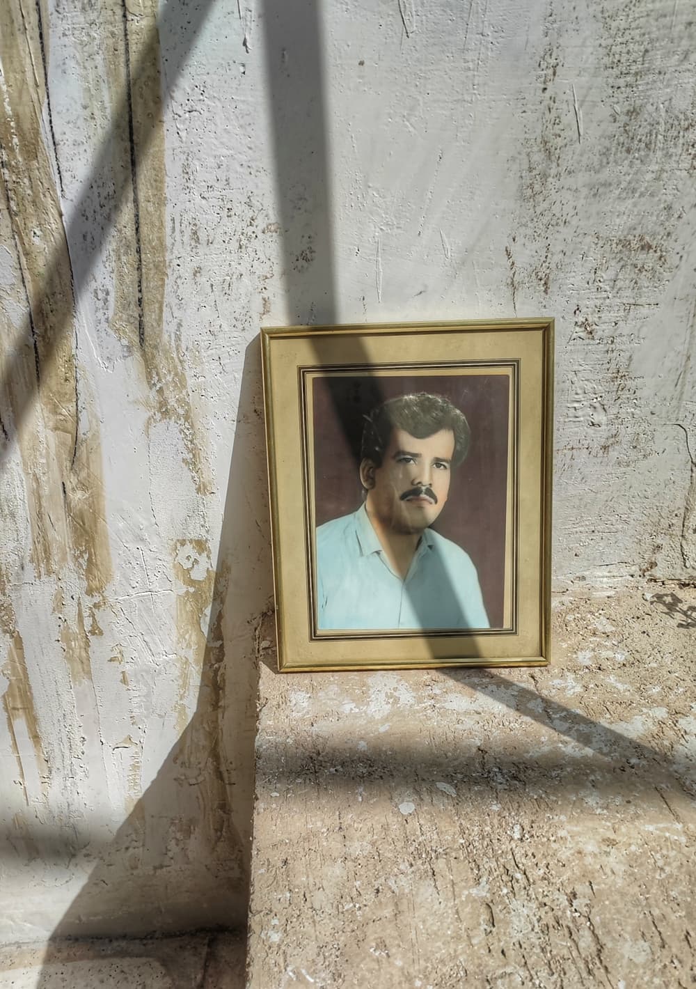 عکس از الهام نویدفر
