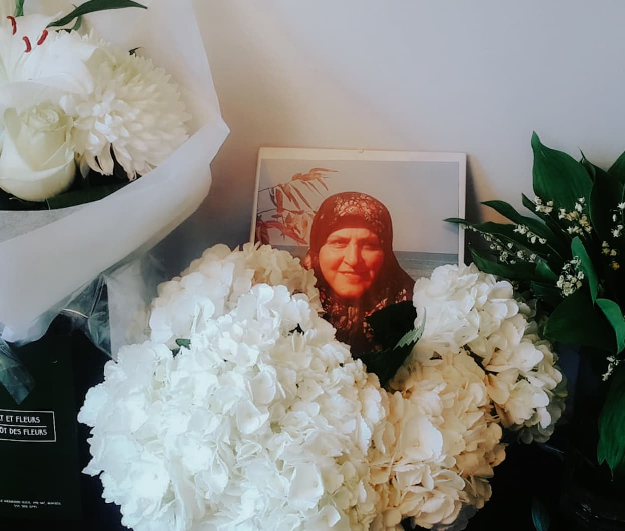 پر خانم، از ساحل خزر تا کتابخانهی مونترال