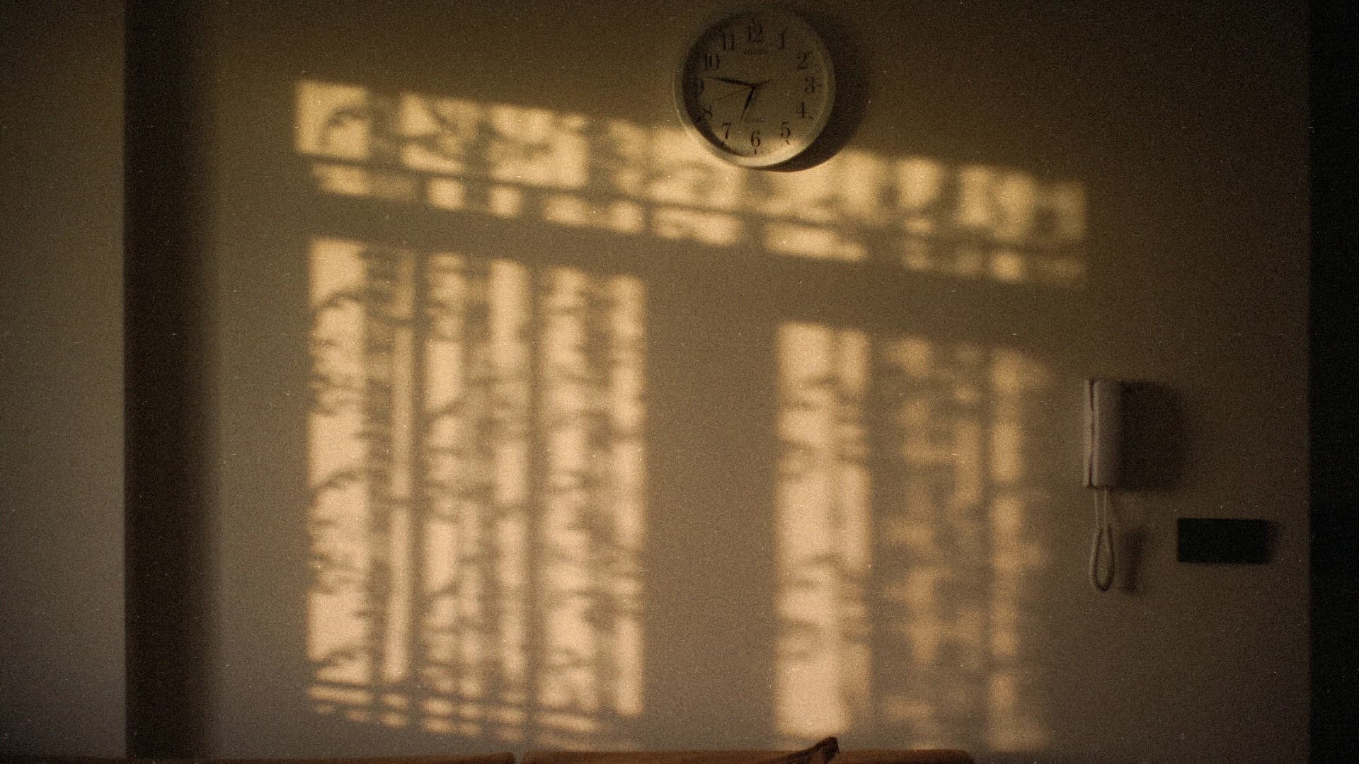 عکس از محمد یگانه